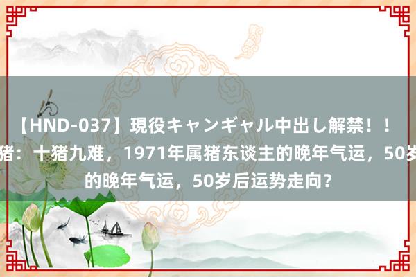 【HND-037】現役キャンギャル中出し解禁！！ ASUKA 生肖猪：十猪九难，1971年属猪东谈主的晚年气运，50岁后运势走向？