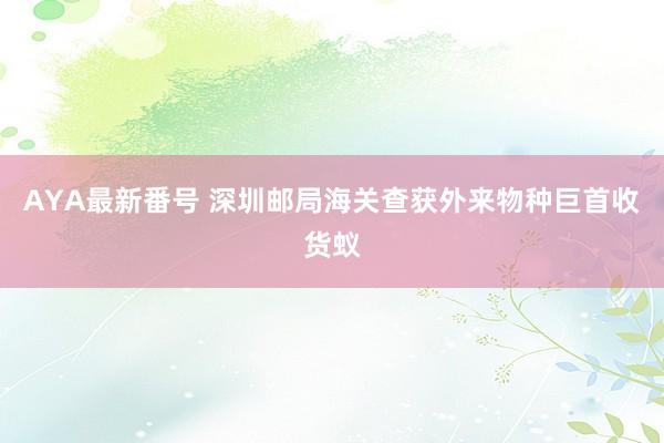 AYA最新番号 深圳邮局海关查获外来物种巨首收货蚁