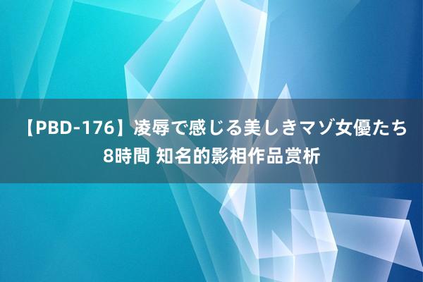 【PBD-176】凌辱で感じる美しきマゾ女優たち8時間 知名的影相作品赏析