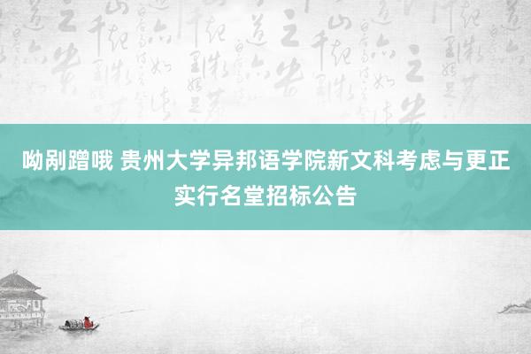 呦剐蹭哦 贵州大学异邦语学院新文科考虑与更正实行名堂招标公告